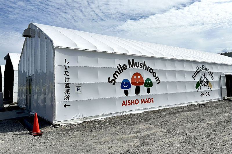 しいたけハウス栽培